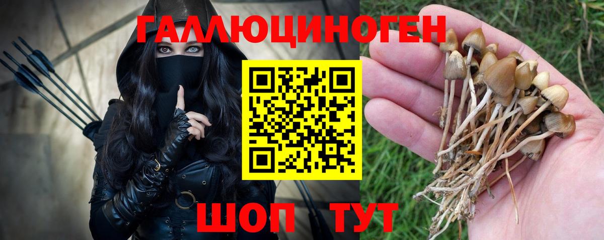 Корсаков  Галлюциногенные грибы Cubensis  Вход с VPN 